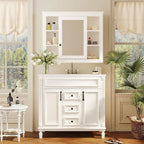 Meuble-lavabo moderne de 36 po avec vasque et armoire à miroir, 2 portes et 2 tiroirs