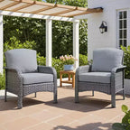 HOMLUX Lot de 2 chaises de patio en osier, ensemble de chaises d'extérieur tout temps à dossier haut en rotin