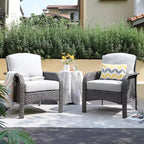 HOMLUX Lot de 2 chaises de patio en osier, ensemble de chaises d'extérieur tout temps à dossier haut en rotin