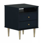 Dylane 2-Drawer Nightstand
